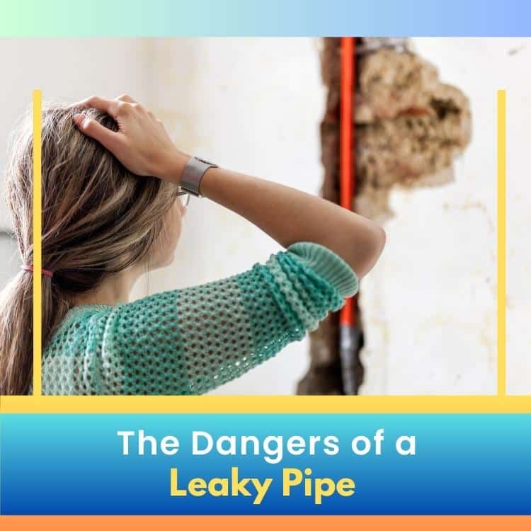 https://www.handymanconnection.net/etobicoke/wp-content/uploads/sites/50/2023/06/Etobicoke-Plumber_-The-Dangers-of-a-Leaky-Pipe.jpg