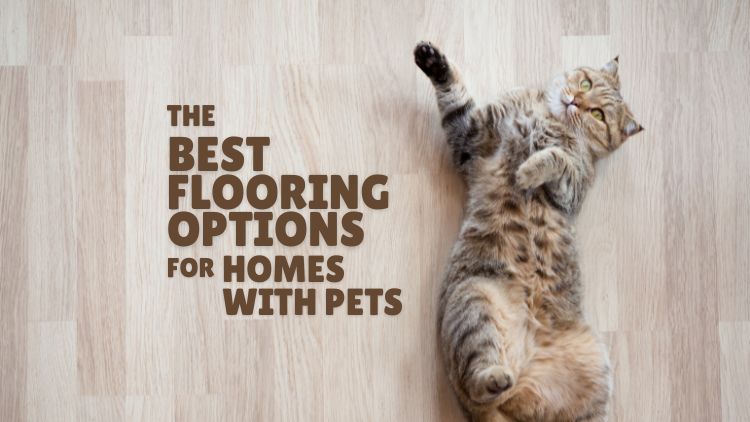 https://www.handymanconnection.net/halton/wp-content/uploads/sites/89/2024/10/The-Best-Flooring-Options-for-Homes-with-Pets.jpg