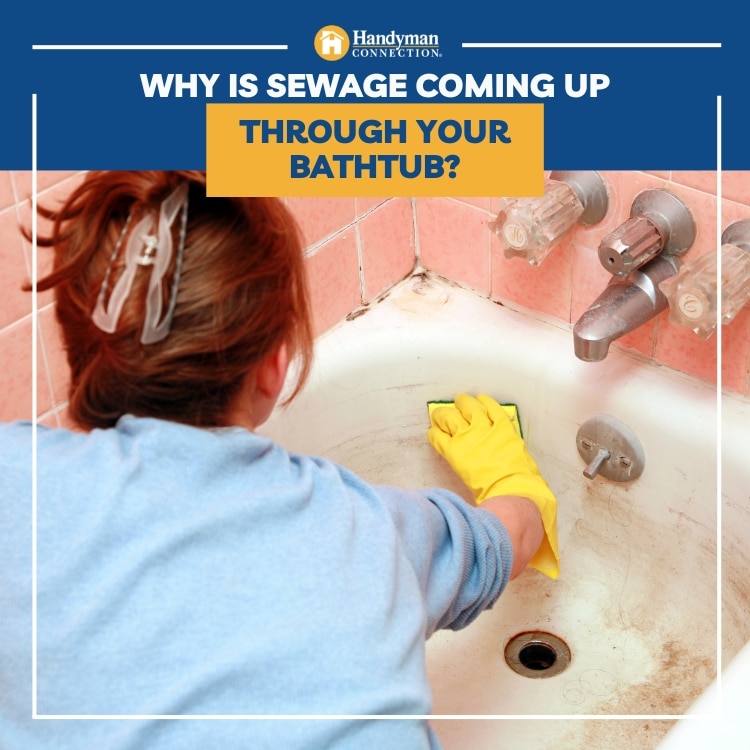 https://www.handymanconnection.net/mississauga/wp-content/uploads/sites/66/2022/11/Mississauga-Plumber-Why-is-Sewage-Coming-Up-Through-Your-Bathtub.jpg