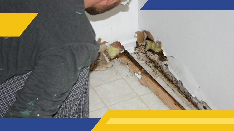 Handyman Connection Ottawa: Identifying Signs of Serious Drywall Damage