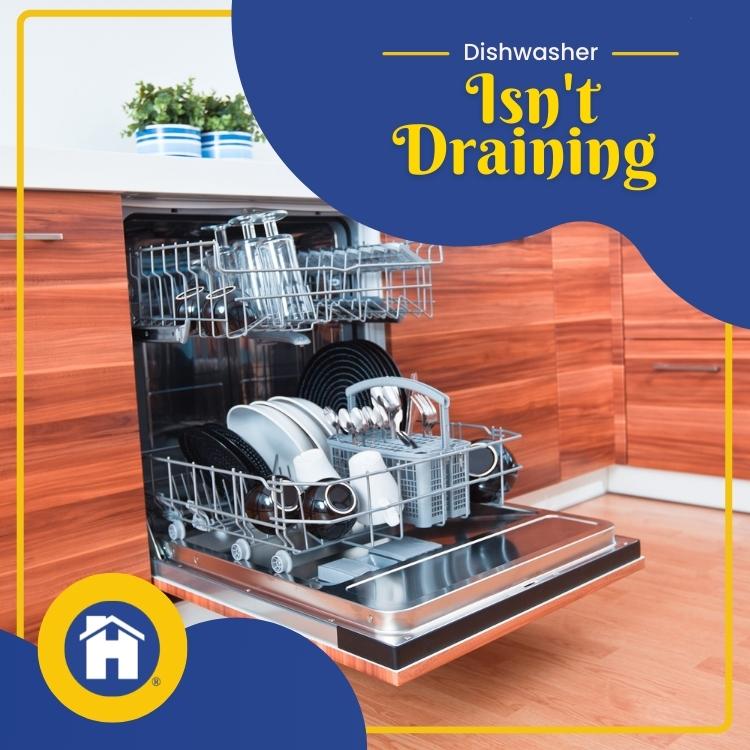 https://www.handymanconnection.net/red-deer/wp-content/uploads/sites/42/2022/10/Plumber-in-Red-Deer-Why-the-Dishwasher-Isn_t-Draining.jpg