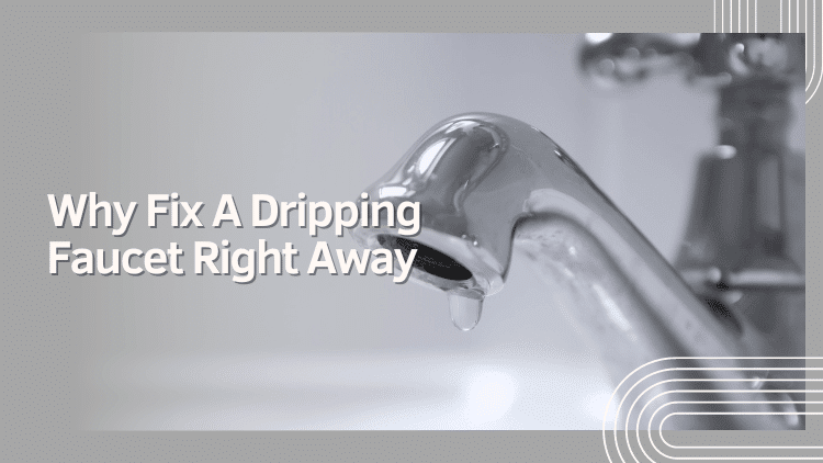 https://www.handymanconnection.net/red-deer/wp-content/uploads/sites/42/2023/08/Plumber-in-Red-Deer-Why-Fix-a-Dripping-Faucet-Right-Away.png