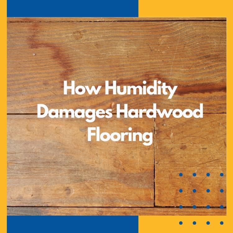 https://www.handymanconnection.net/regina/wp-content/uploads/sites/43/2022/07/Handyman-in-Regina-How-Humidity-Damages-Hardwood-Flooring.jpg