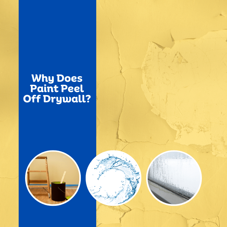 Why Does Paint Peel off Drywall?