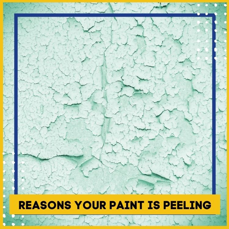 https://www.handymanconnection.net/vancouverbc/wp-content/uploads/sites/32/2022/11/4-Reasons-Your-Paint-is-Peeling-in-Vancouver.jpg