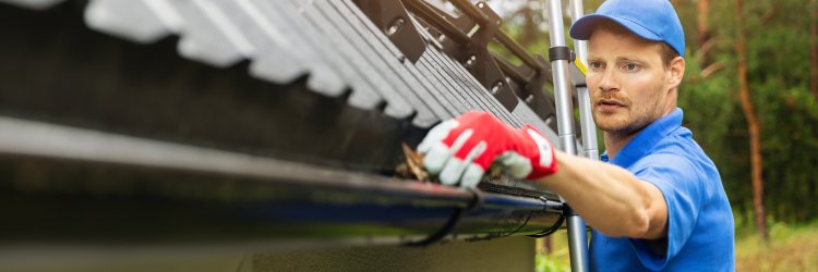 Clean and Inspect Gutters