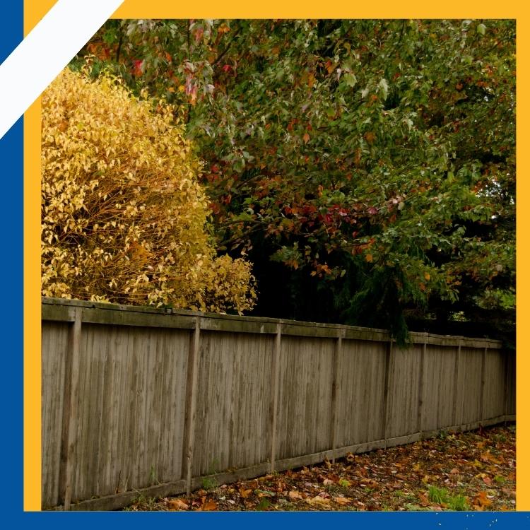 https://www.handymanconnection.net/victoria/wp-content/uploads/sites/52/2022/07/Handyman-in-Victoria-How-The-Weather-Can-Affect-Your-Fence.jpg