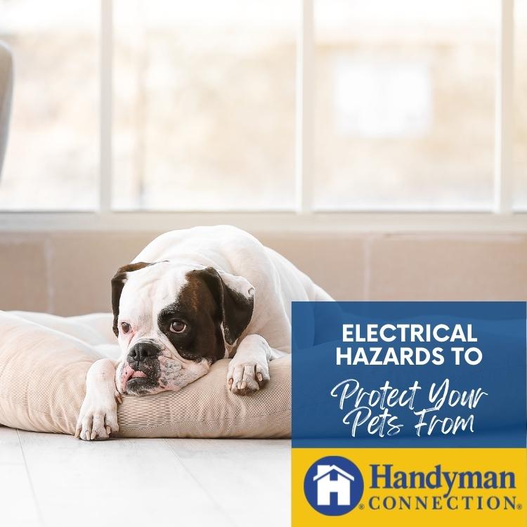 https://www.handymanconnection.net/victoria/wp-content/uploads/sites/52/2022/11/Victoria-Electrician-4-Electrical-Hazards-to-Protect-Your-Pets-From.jpg