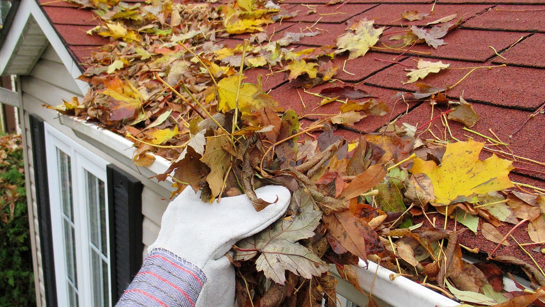 https://www.handymanconnection.net/wilmington/wp-content/uploads/sites/64/2022/10/gutter-maintenance.jpg