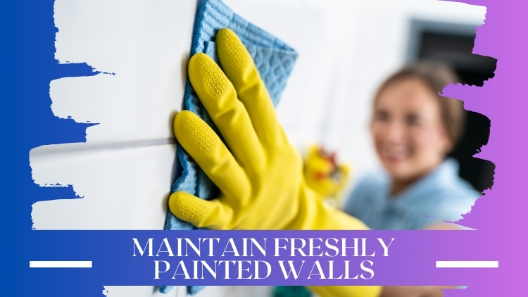 https://www.handymanconnection.net/winnipeg/wp-content/uploads/sites/57/2024/10/Banner-Winnipeg-Handyman_-How-to-Maintain-Freshly-Painted-Walls.jpg