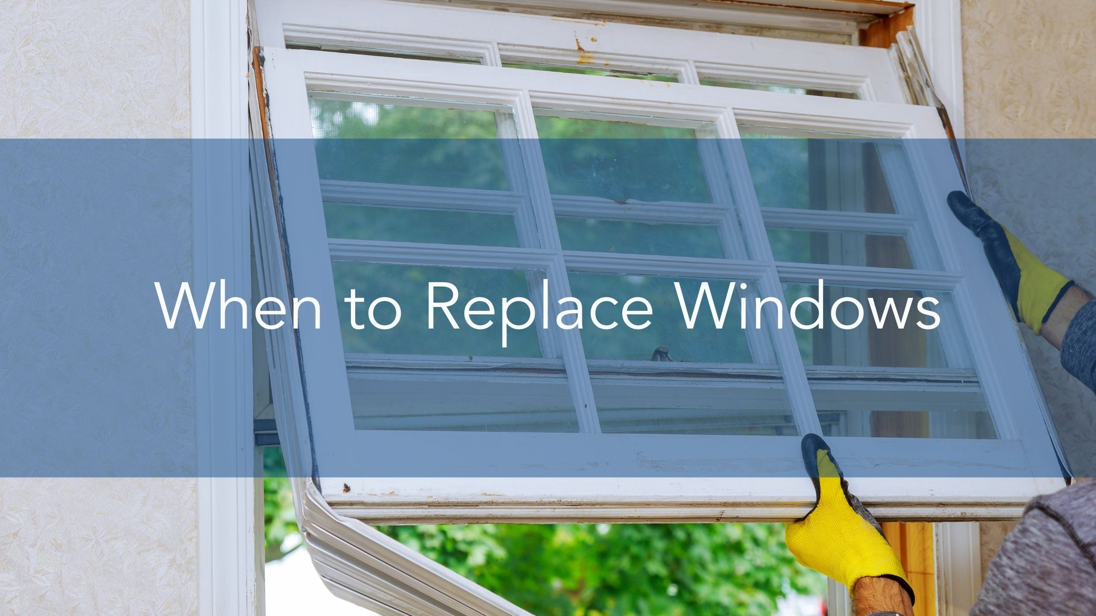 Replace Windows | Handyman Connection